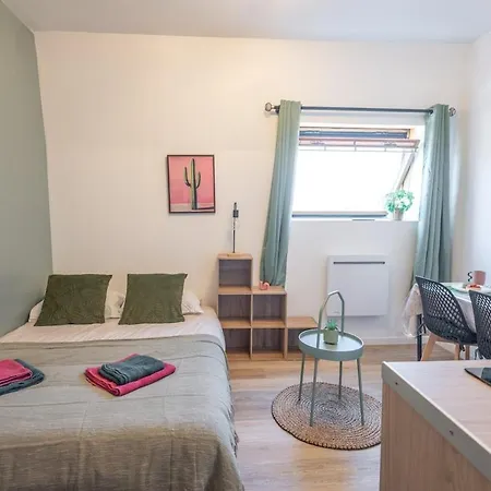 Appartement L'exotique - Parking I Netflix I Gare I Wifi Très Débit - Calme&cosy Anzin